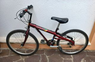Biclietta MTB 24