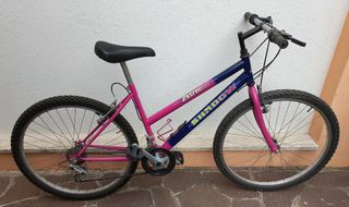 Bicicletta MTB 26