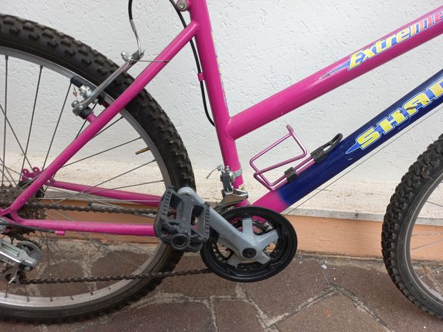 Bicicletta MTB 26