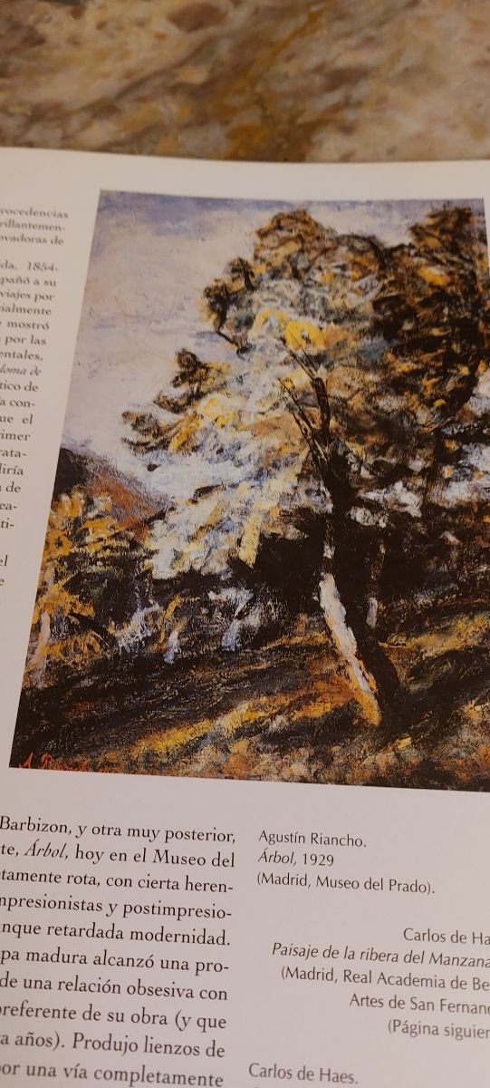 Libro sulla pittura Spagnola