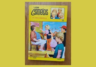 Libros juveniles LOS GEMELOS (Laura Lee Hope)