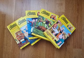 Libros juveniles LOS GEMELOS (Laura Lee Hope)