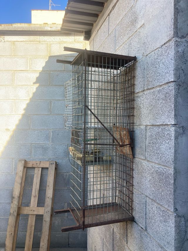 Tranpa para animales vivos