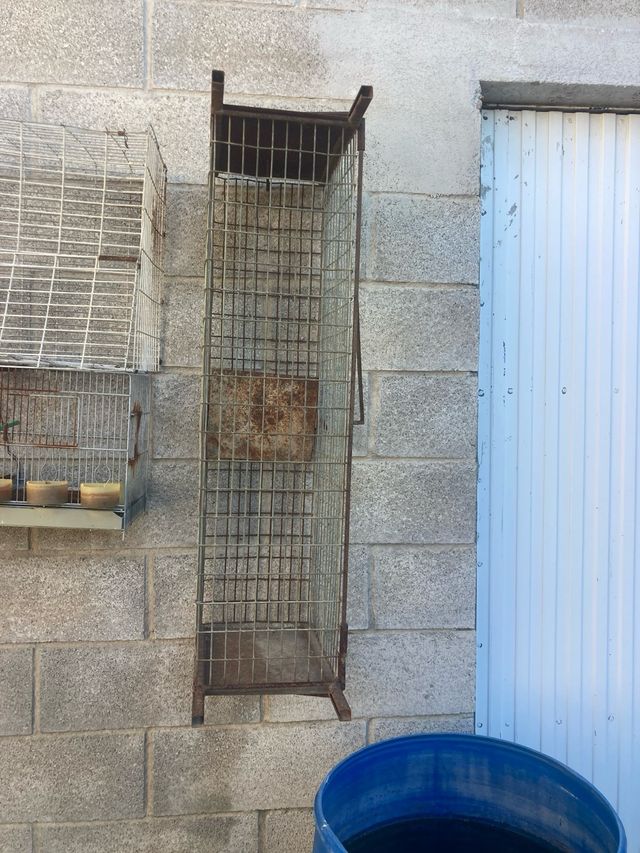 Tranpa para animales vivos