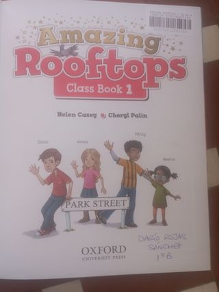 Amazing Rooftops Class Book 1