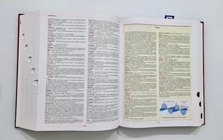 Diccionario enciclopédico de medicina 