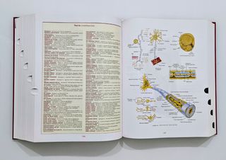 Diccionario enciclopédico de medicina 