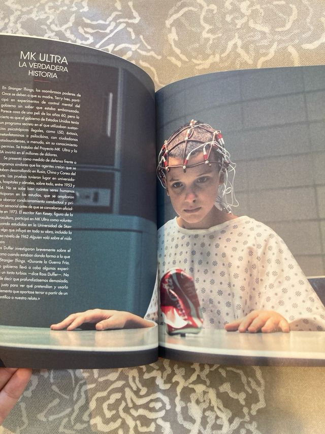 Libro Stranger Things