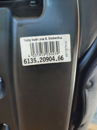 Silla niños coche Recaro Young Sport