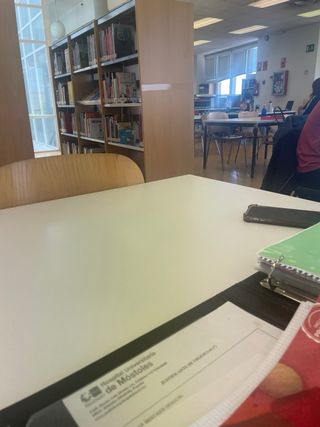 Profesora particular