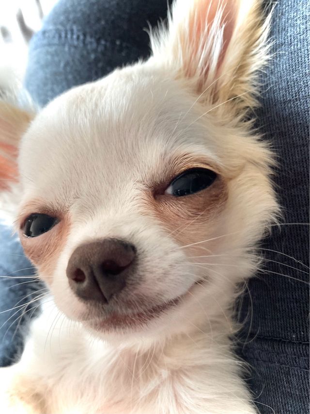 Colgador Gancho Ikea