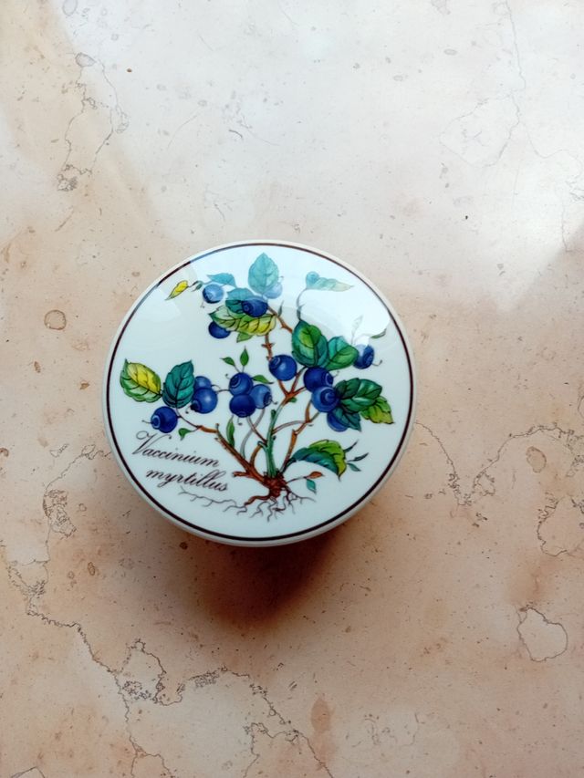 Scatolina villeroy e Bosch