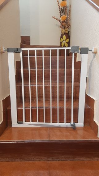 Puerta Salvaescaleras