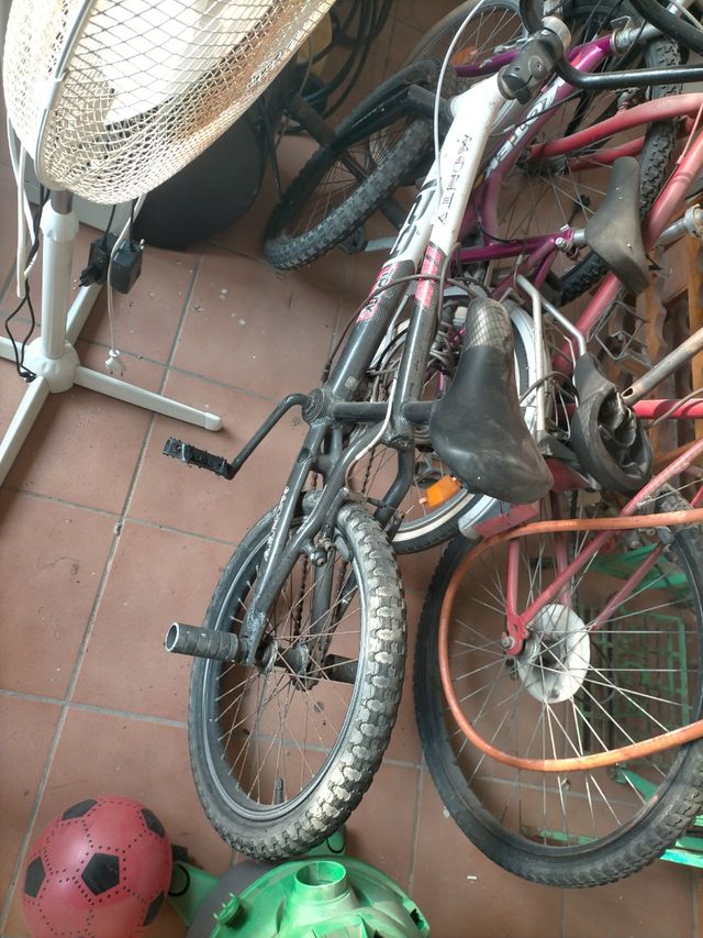 Patinete 10€
Patinete blanco 80€
Monty 70