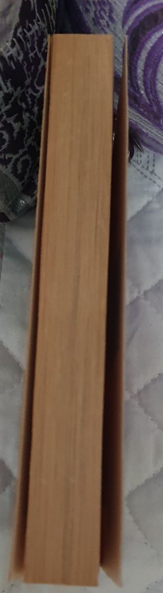 El misterio de la Virgen de Guadalupe