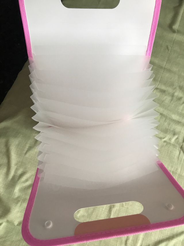 Carpeta organizadora cute