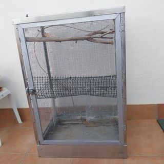 Terrario para camaleón