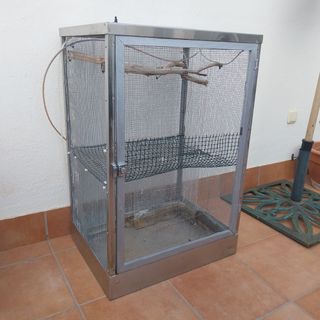 Terrario para camaleón