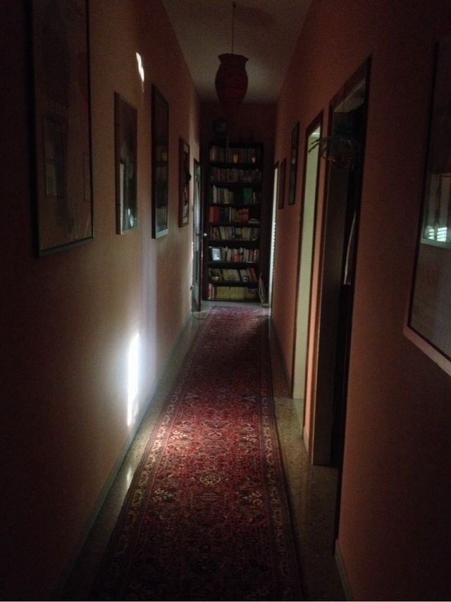 Tappeto persiano corridoio 7,80x0,80