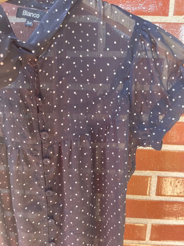 Blusa semitransprente, manga corta, lazada cuello