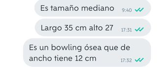 Bolso tous