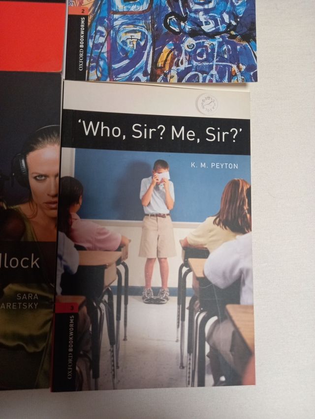 Lote libros en ingles