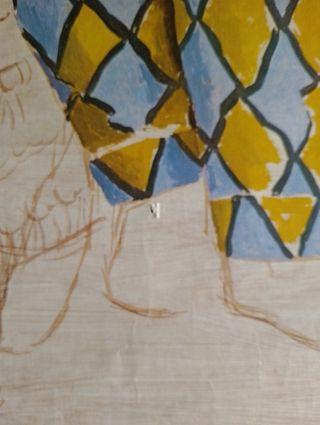 Cartel Promocional De Picasso