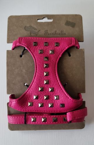 Pettorina con guinzaglio per cani
