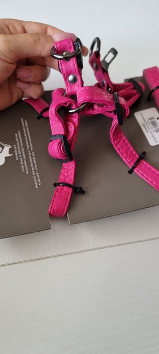 Pettorina con guinzaglio per cani