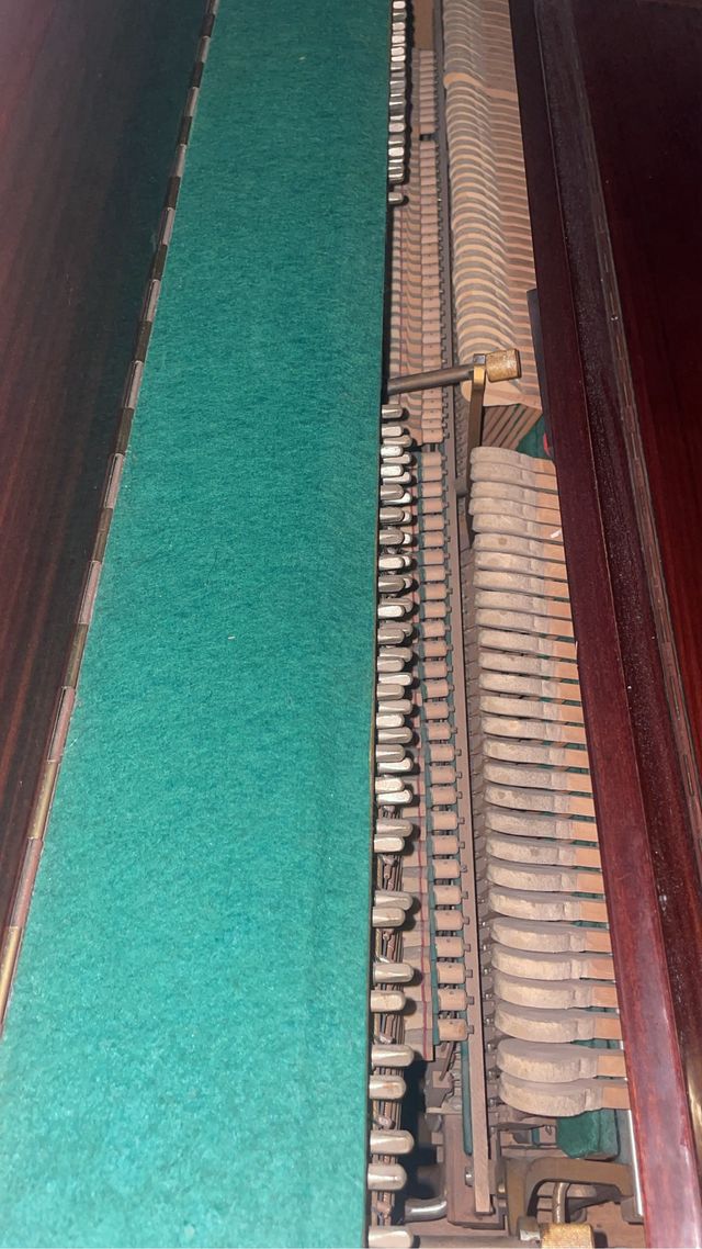 Piano Professional Zimmermann