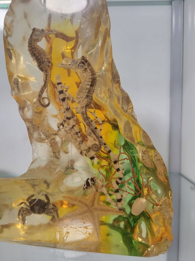 Caballito peso despacho retro vintage