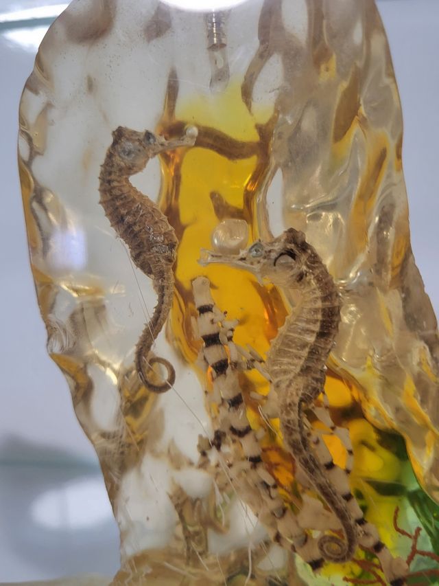 Caballito peso despacho retro vintage