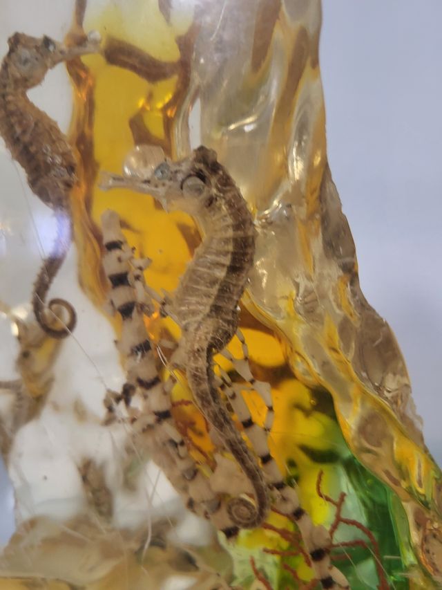 Caballito peso despacho retro vintage