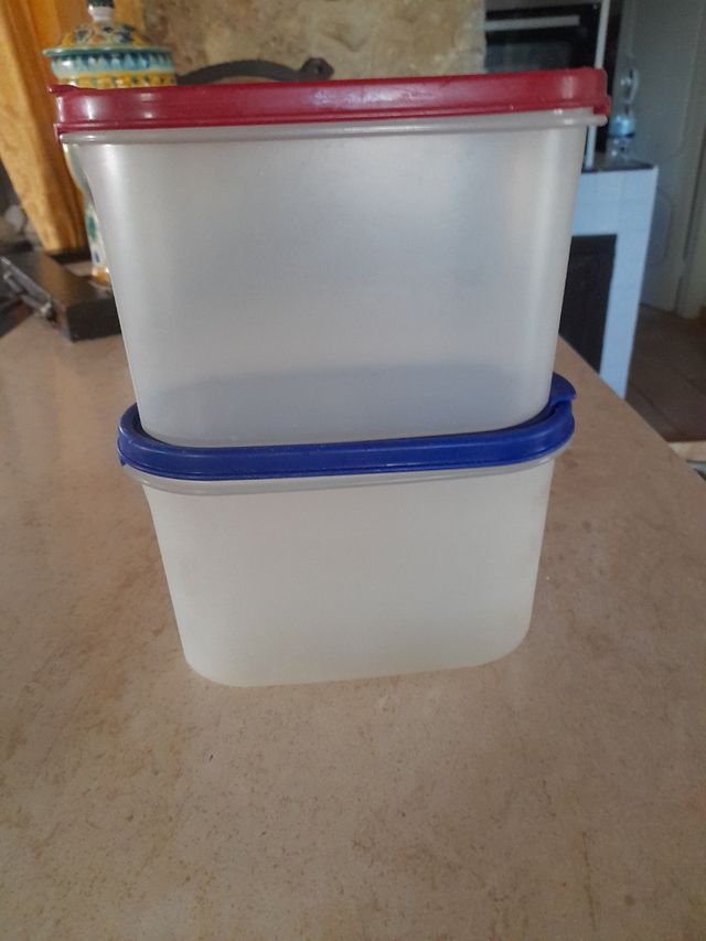 Due contenitori tupperware 18x11