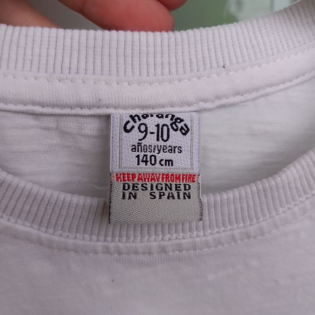 Camiseta de charanga