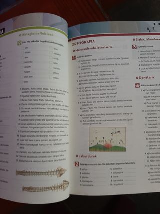 Libro de euskara eta literatura 2° bachi