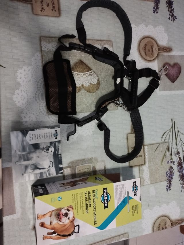 Arnés trasero perro