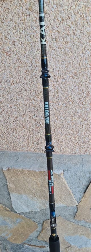 Caña de pesca 