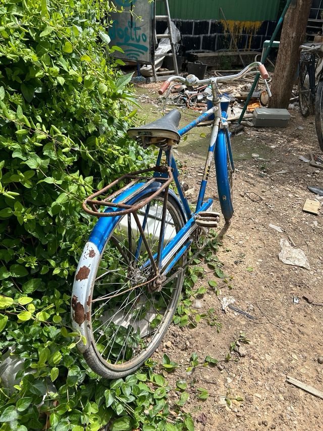 Bicicleta bh clásica