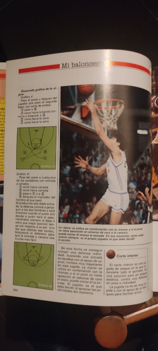 Colección enciclopedia baloncesto