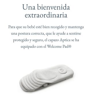 Capazo inglésina electa