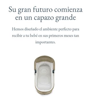 Capazo inglésina electa