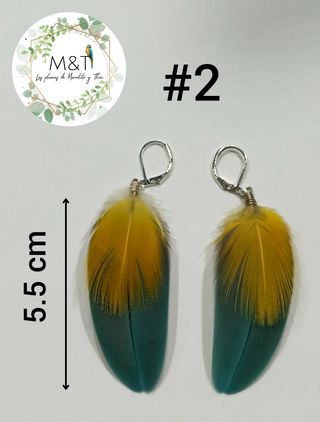 Pendientes de pluma de guacamayo