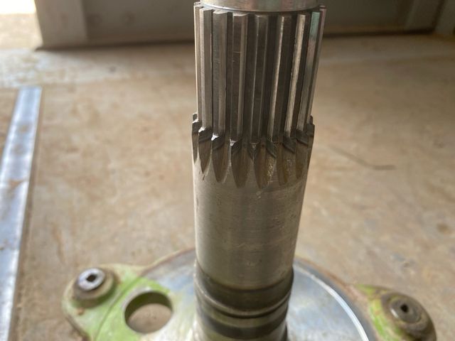 Cañonera agria 1.9 ed