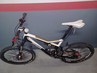 Specialized doble carbono 