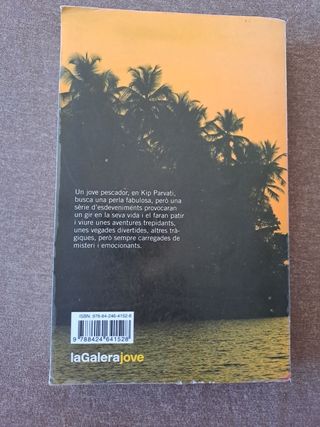 Libro Les aventures de Kip Parvati (en castellano)