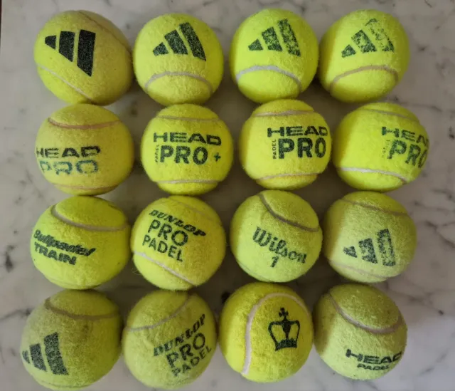 16 pelotas tennis