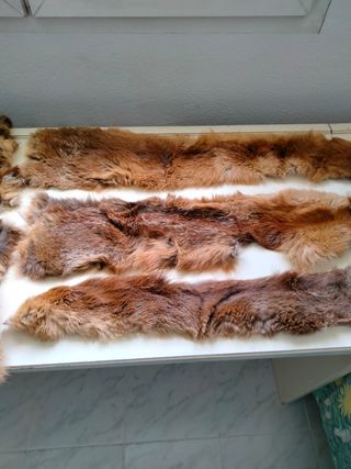 Chaquetón piel Zorro Rojo