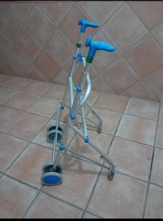 Andador anciano