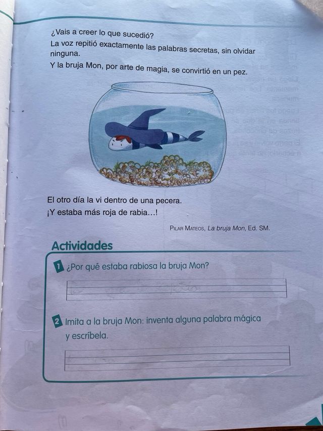 Libro texto Milhojas